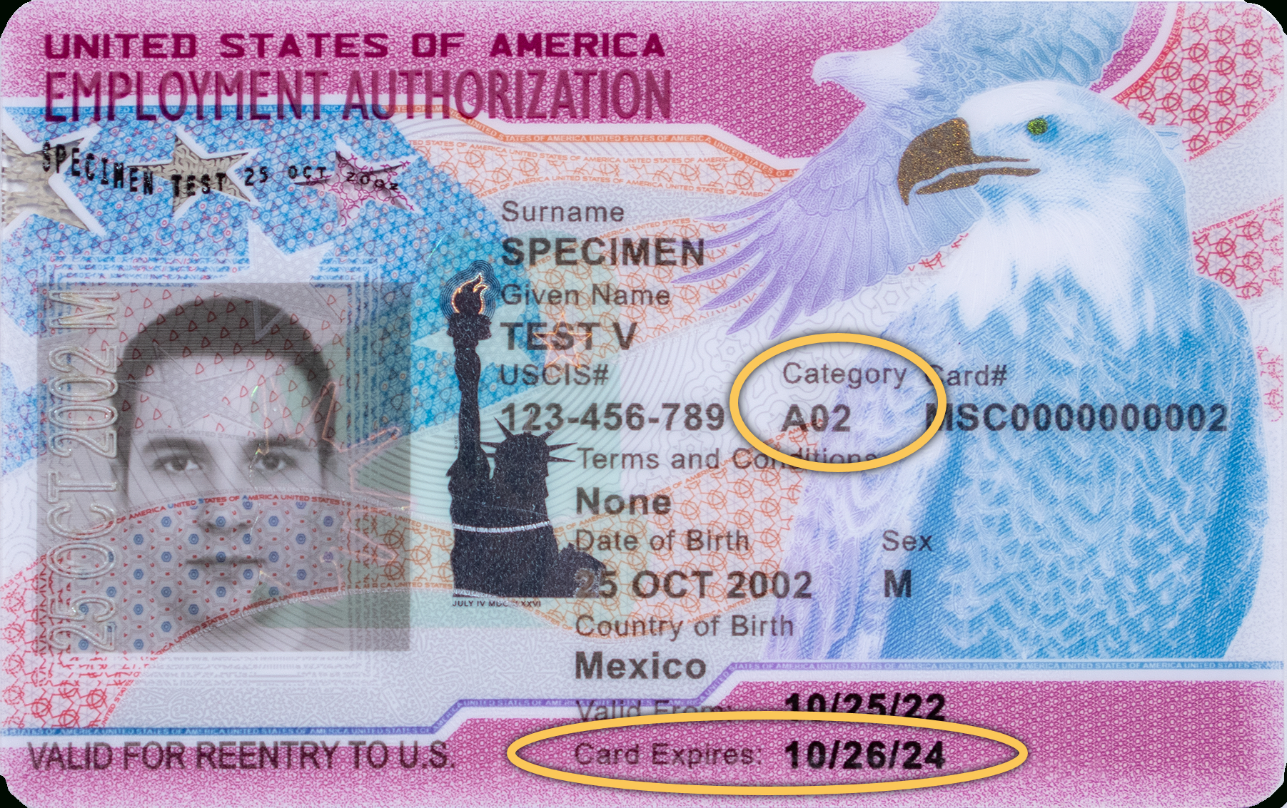 5.0 Automatic Extensions Of Employment Authorization And/Or for What Is An Uscis I-9 Form?